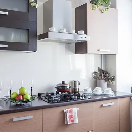 Apartment Volodarsky Street, 17