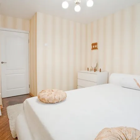 Apartment Volodarsky Street, 17